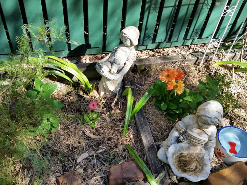 Housesitting assignment in Laidley, Queensland, Australia