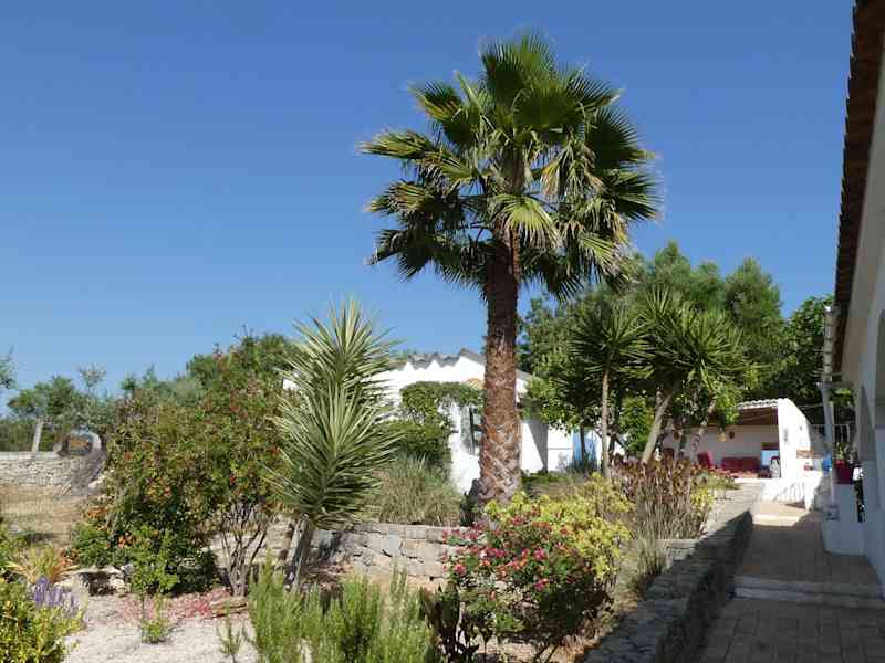 Housesitting assignment in Faro, Portugal