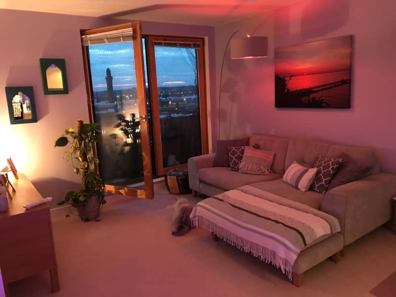 Housesitting assignment in Manchester City Centre, United Kingdom