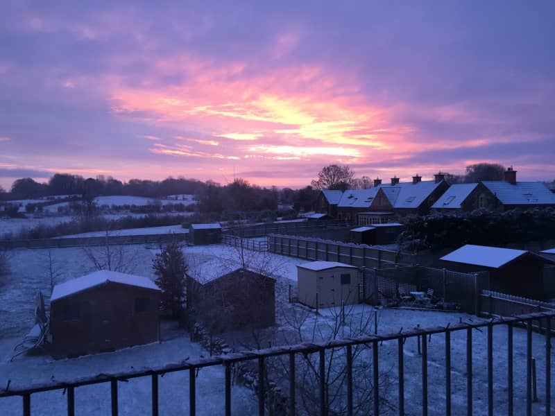 Housesitting assignment in Dunadry, United Kingdom