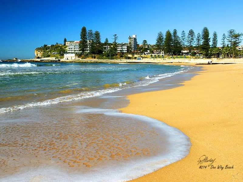 Housesitting assignment in Dee Why, New South Wales, Australia