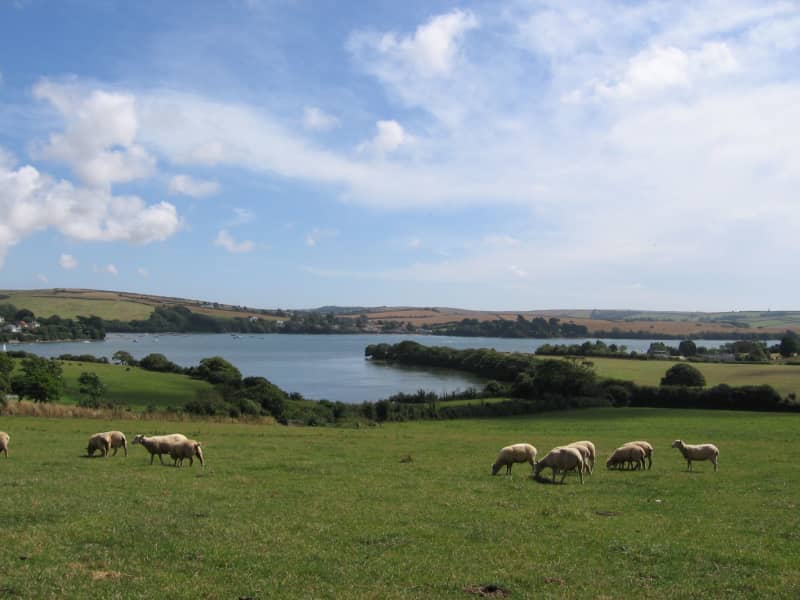 Housesitting assignment in Kingsbridge, United Kingdom