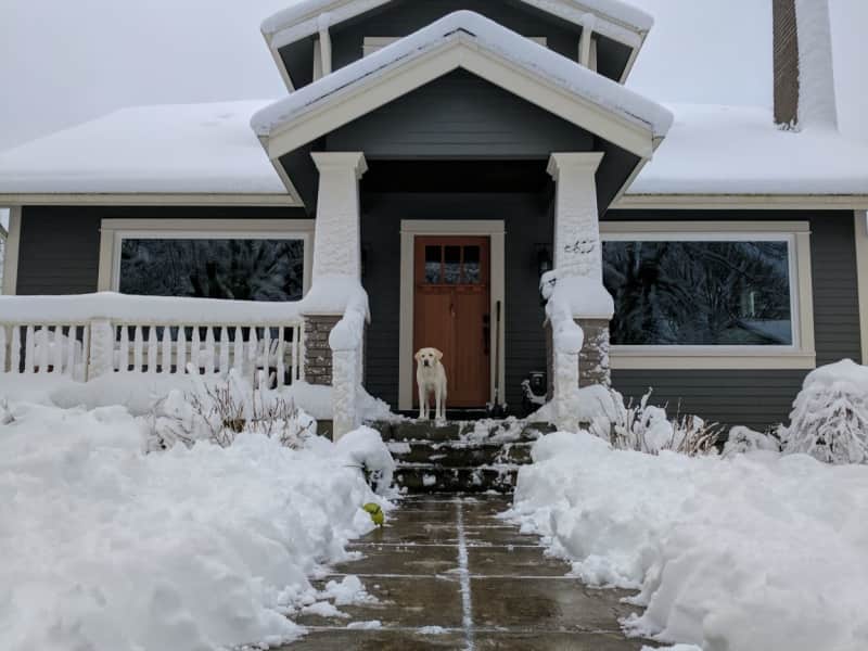 Housesitting assignment in Portland, Oregon, United States