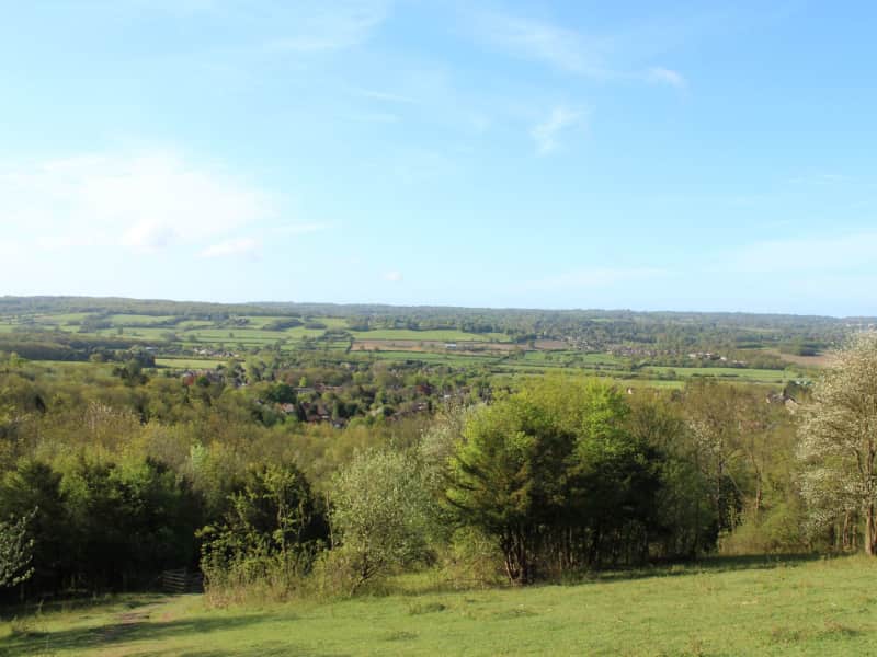 Housesitting assignment in Sevenoaks, United Kingdom