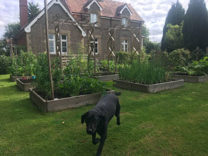 Housesitting assignment in Hereford, United Kingdom