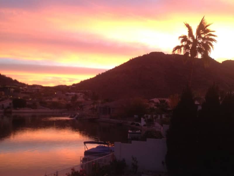 Housesitting assignment in Glendale, Arizona, United States