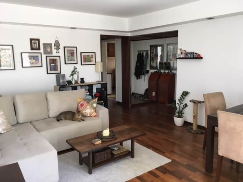 Housesitting assignment in Porto Alegre, Brazil