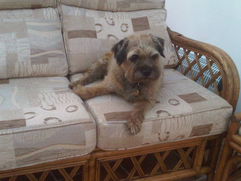 Housesitting assignment in Coniston, United Kingdom