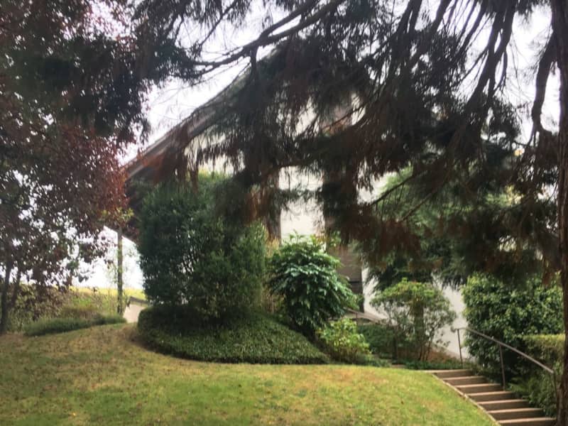 Housesitting assignment in Baden-Baden, Germany