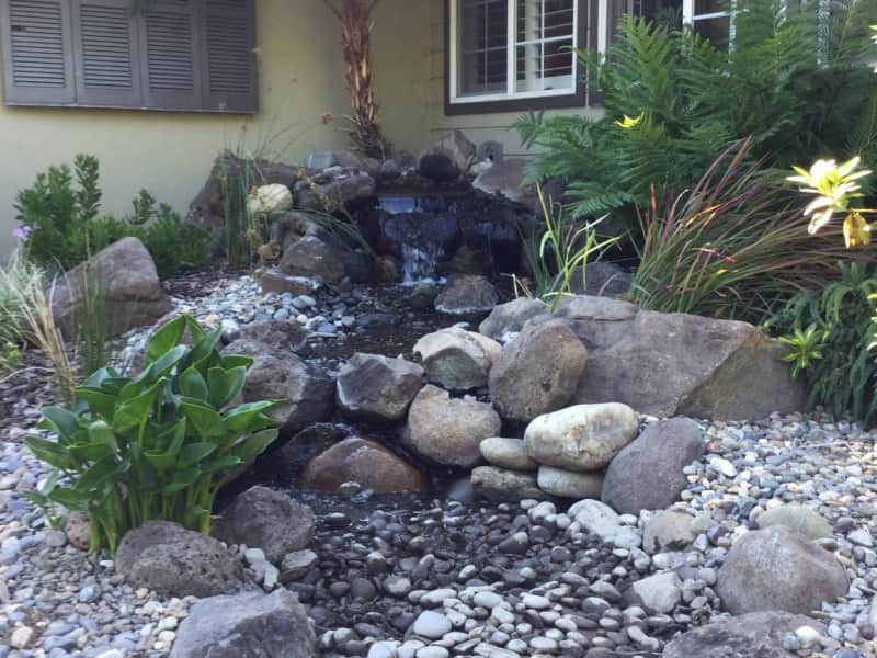 Housesitting assignment in Stockton, California, United States