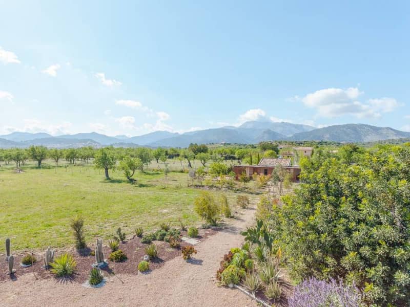 Housesitting assignment in Selva, Spain