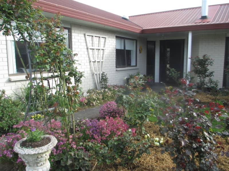 Housesitting assignment in Hamilton, New Zealand