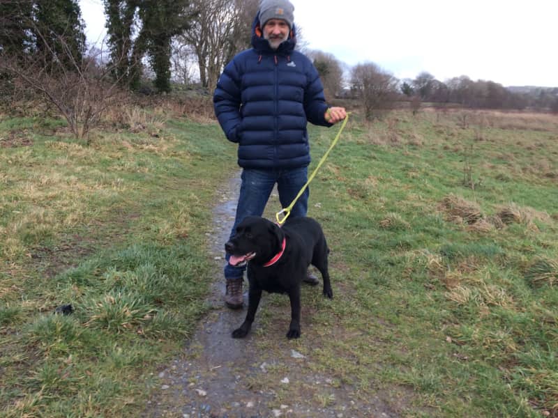 Housesitting assignment in Barmouth, United Kingdom