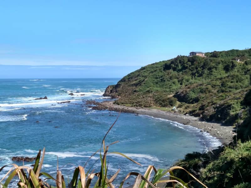 Housesitting assignment in Pumillahue, Chile