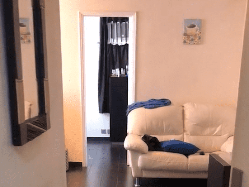 Housesitting assignment in Quarry Bay, Hong Kong