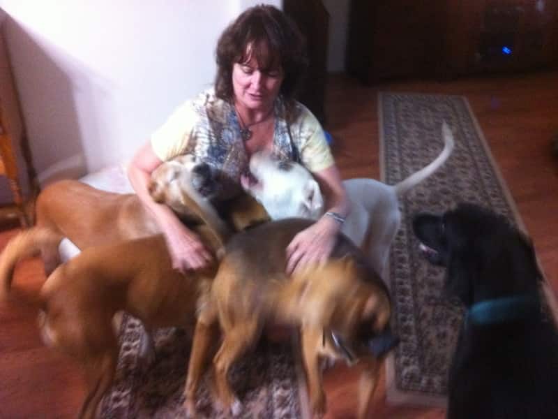 Sharon from Frisco, Texas, United States