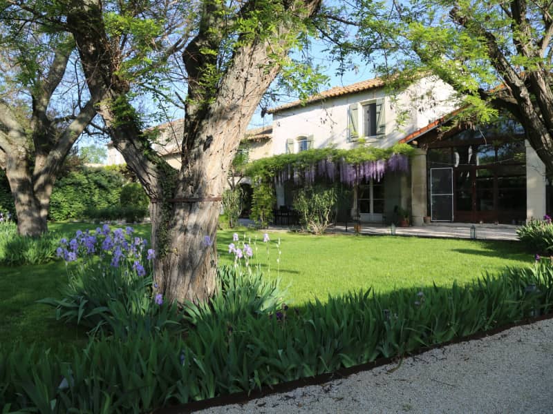 Housesitting assignment in Arles, France