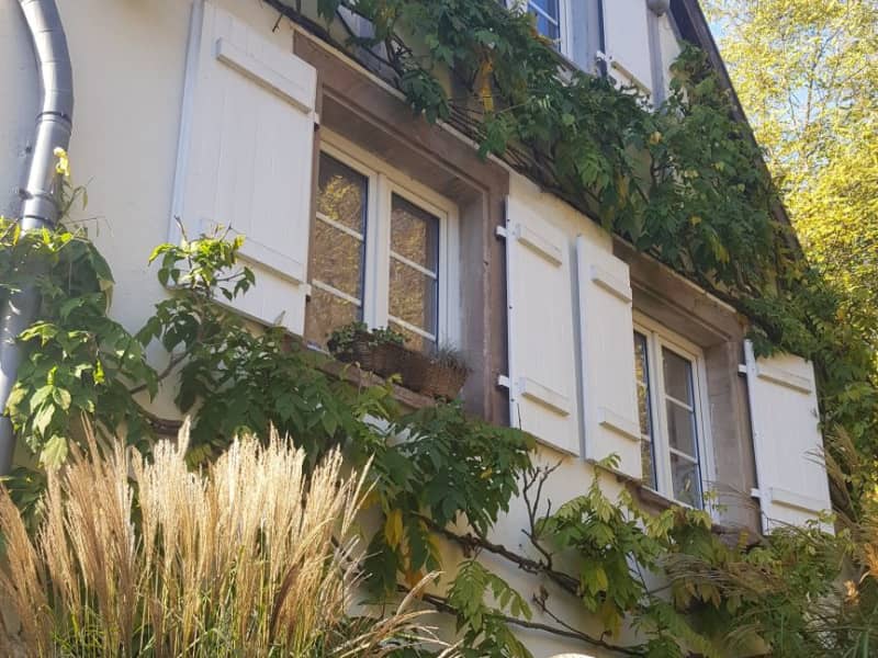 Housesitting assignment in Kuttolsheim, France