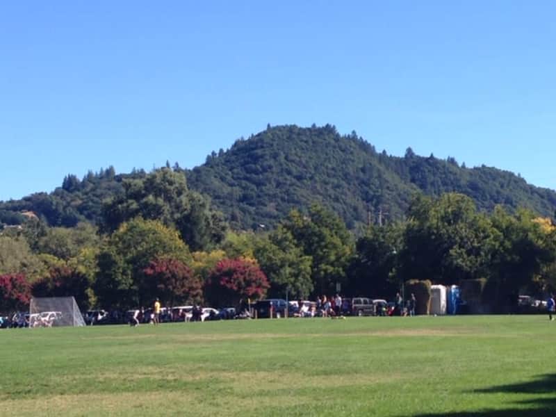 Housesitting assignment in Healdsburg, California, United States