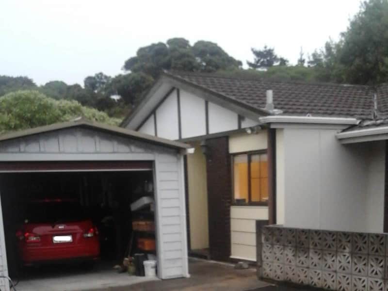 Housesitting assignment in Wellington, New Zealand