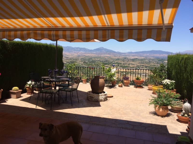 Housesitting assignment in Alhaurín el Grande, Spain