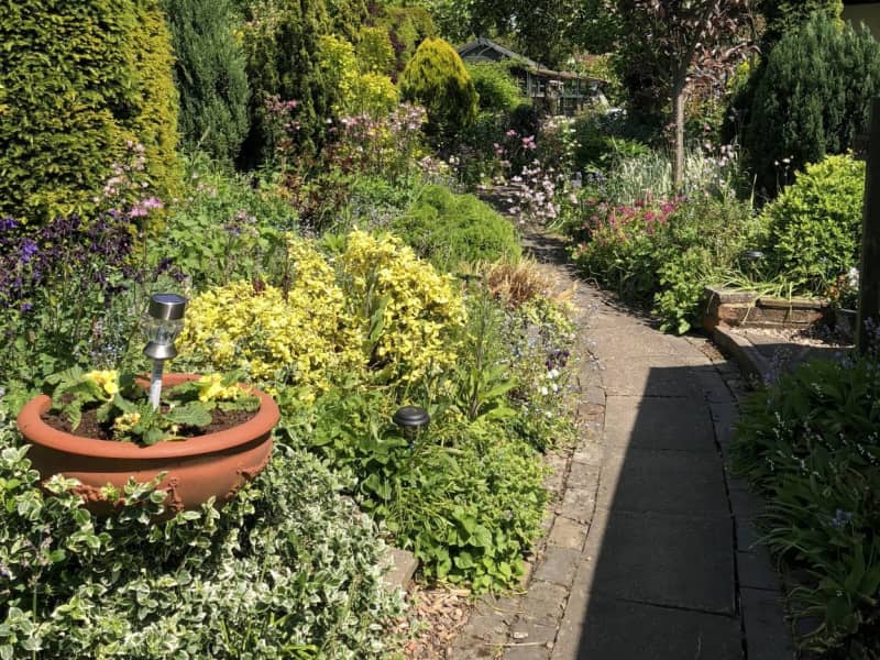 Housesitting assignment in Coventry, United Kingdom