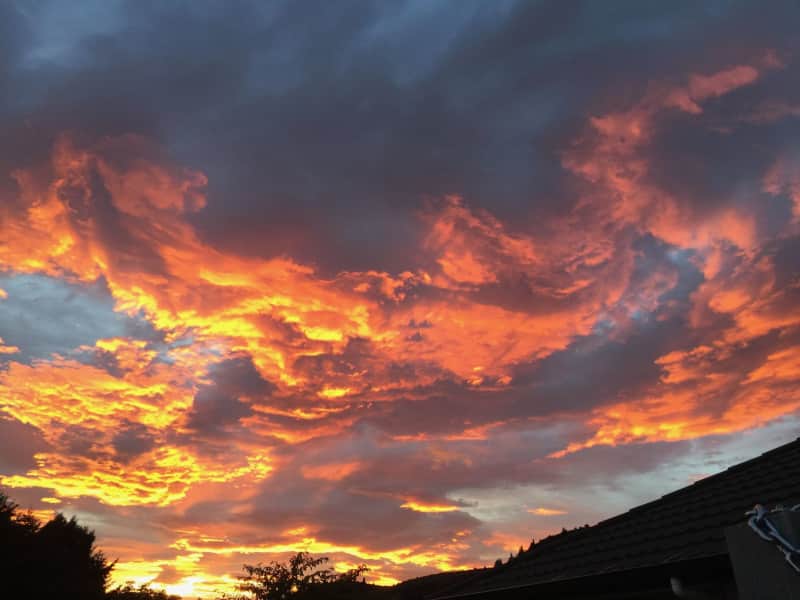 Housesitting assignment in Luggate, New Zealand