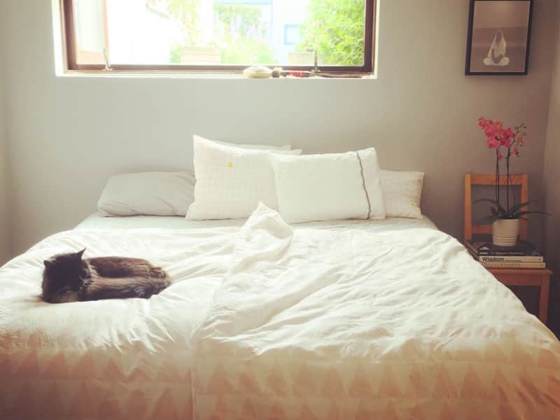 Housesitting assignment in Reykjavík, Iceland