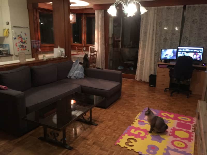 Housesitting assignment in Lausanne, Switzerland
