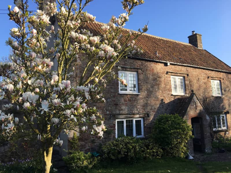 Housesitting assignment in Clapton in Gordano, United Kingdom
