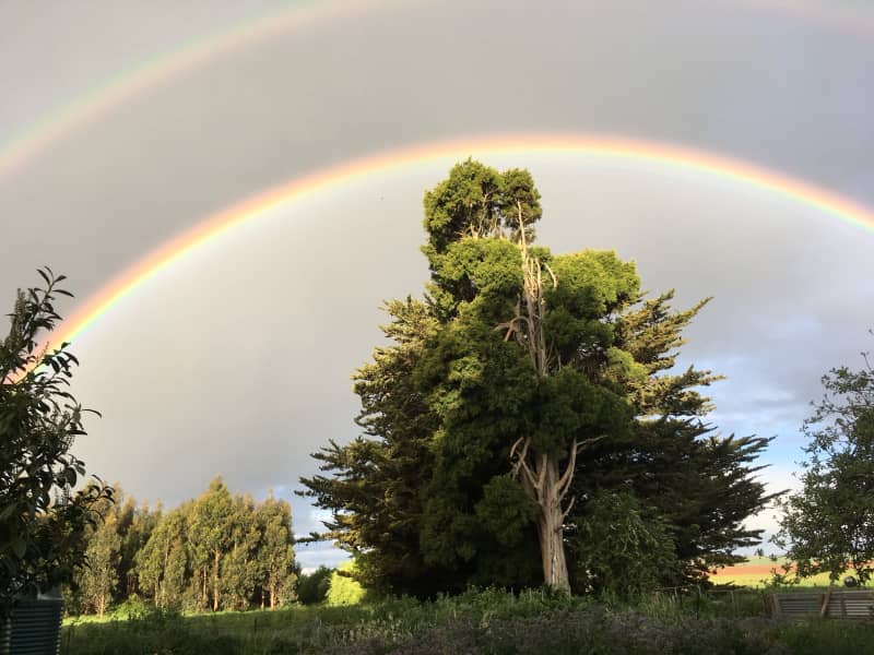 Housesitting assignment in Daylesford, Victoria, Australia