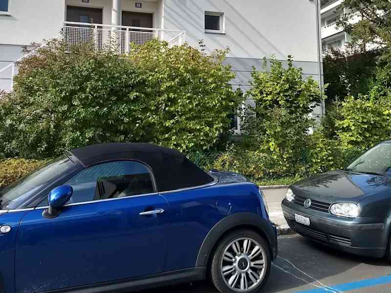 Housesitting assignment in Zürich (Kreis 2), Switzerland