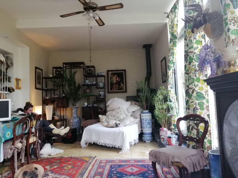 Housesitting assignment in Carcassonne, France