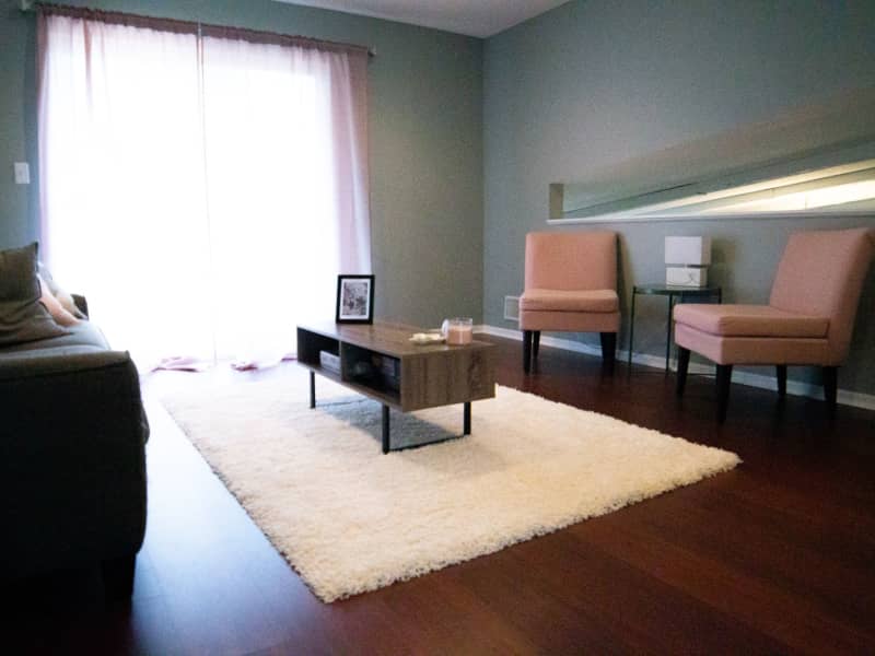 Housesitting assignment in Eagan, Minnesota, United States
