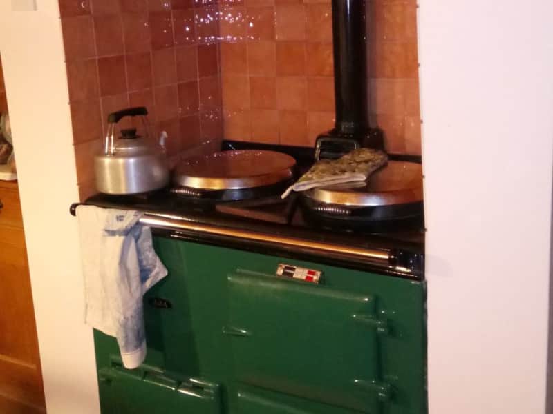 Housesitting assignment in Norwich, United Kingdom