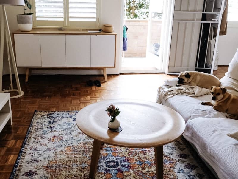 Housesitting assignment in Coogee, New South Wales, Australia
