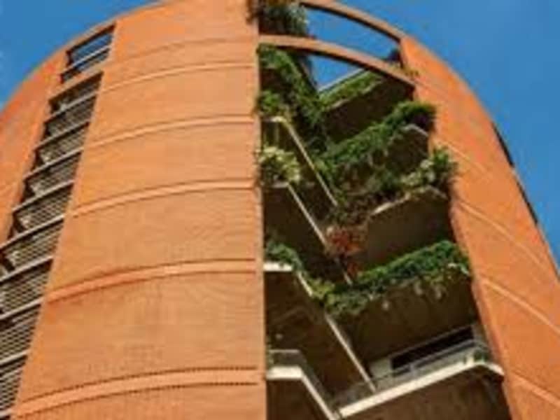 Housesitting assignment in Whitefield, India