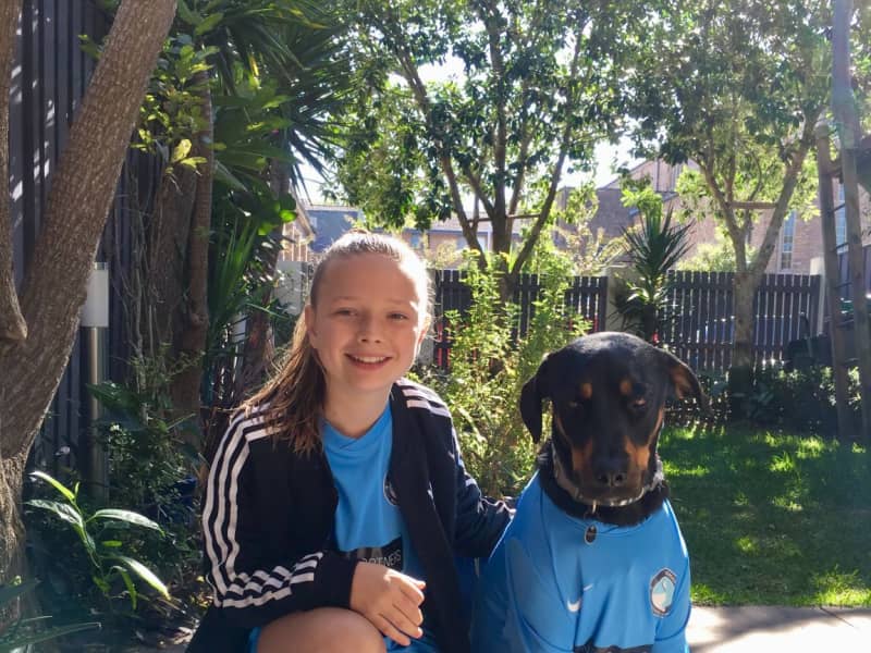Housesitting assignment in Neutral Bay, New South Wales, Australia