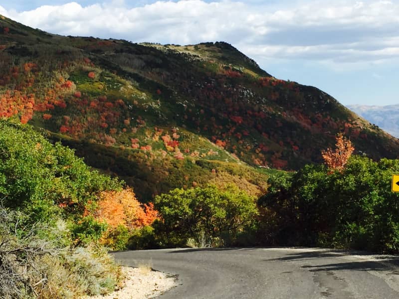Housesitting assignment in Midway, Utah, United States