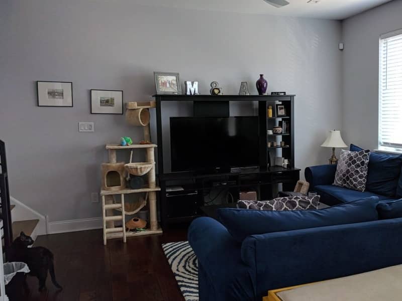 Housesitting assignment in Philadelphia, Pennsylvania, United States