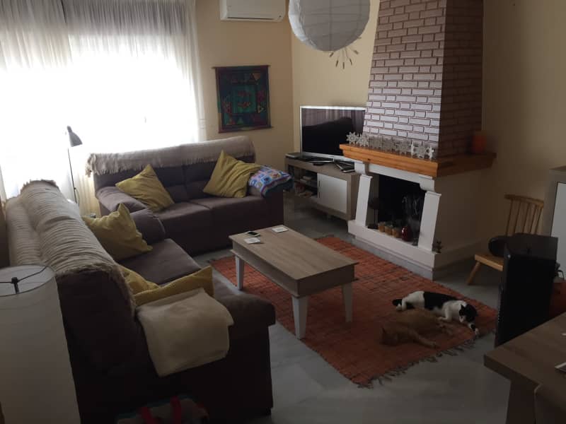 Housesitting assignment in Torre del Mar, Spain