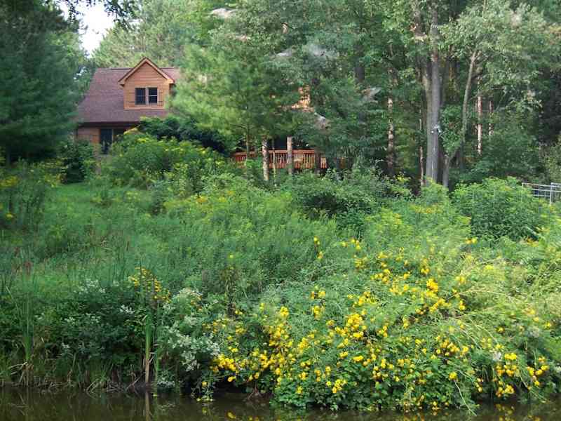 Housesitting assignment in Brighton, Michigan, United States