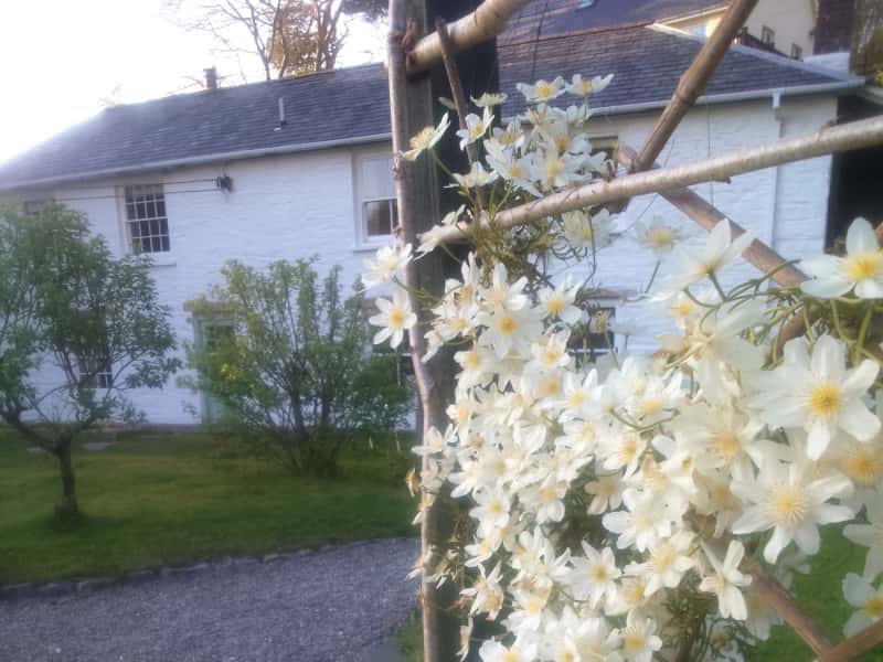Housesitting assignment in Aberystwyth, United Kingdom