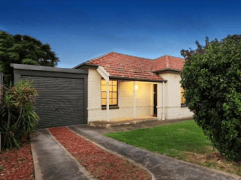 Housesitting assignment in Kilburn, South Australia, Australia