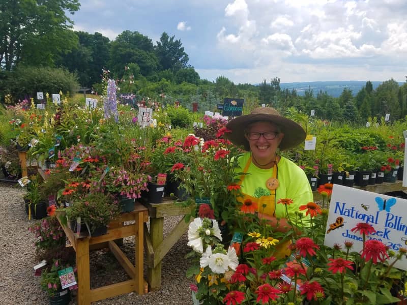 Patricia from Ithaca, New York, United States