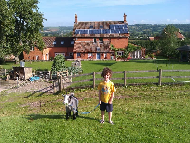 Housesitting assignment in Wells, United Kingdom