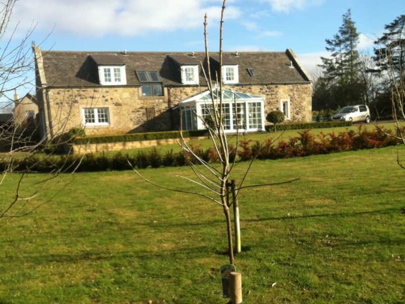 Housesitting assignment in Coldstream, United Kingdom