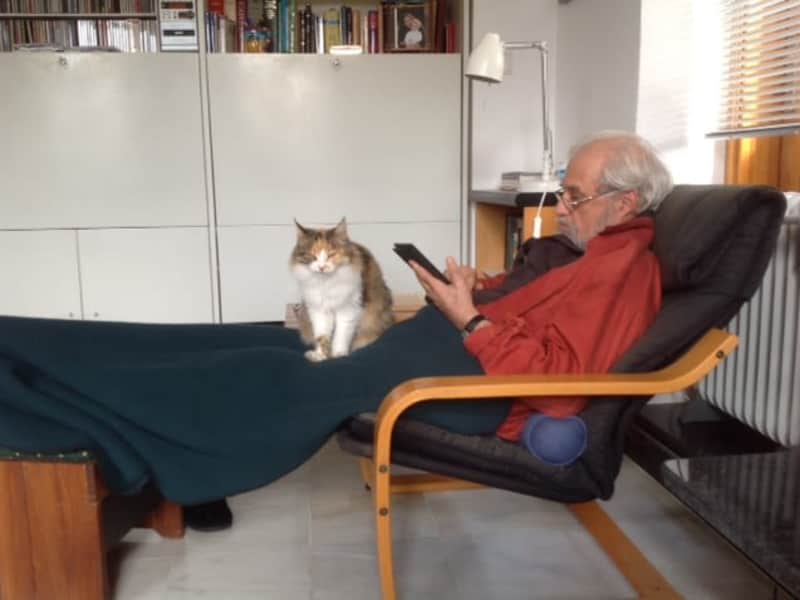 Housesitting assignment in Datça, Turkey