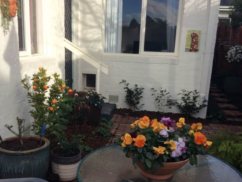 Housesitting assignment in Beaumaris, Victoria, Australia
