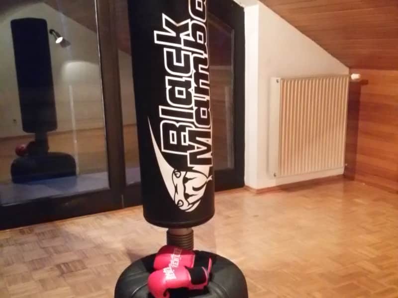 Housesitting assignment in Landstuhl, Germany